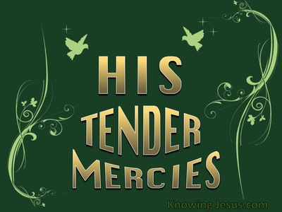 His Tender Mercies -Song Of Zacharias (2)